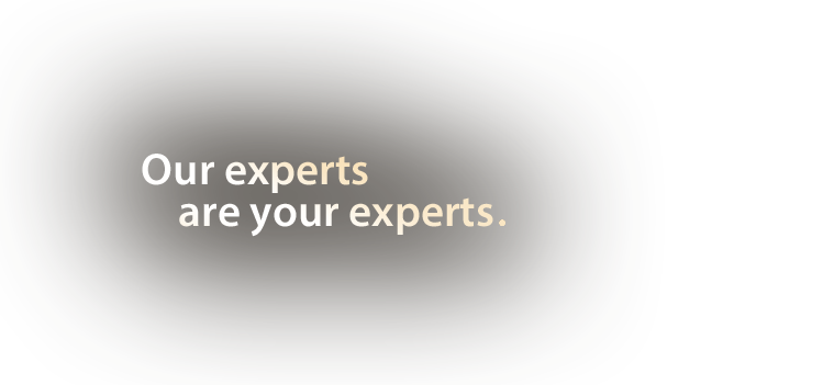 Our experts are your experts.